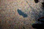 Thumbs/tn_Liedjesfestival 2016 168.jpg